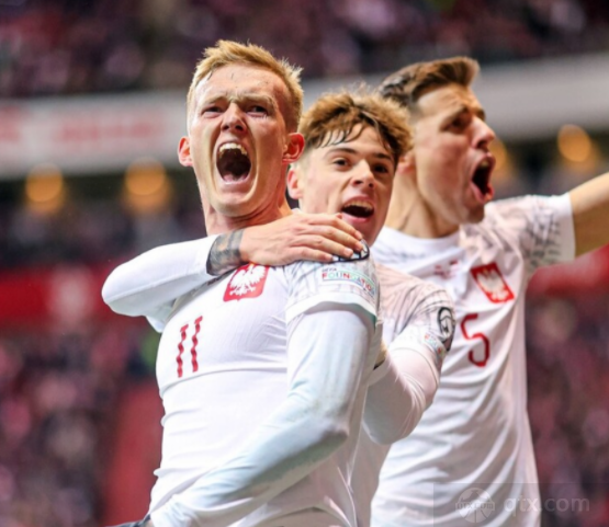 欧洲杯预选赛波兰1-0阿尔巴尼亚  莱万进攻哑火未能取得进球